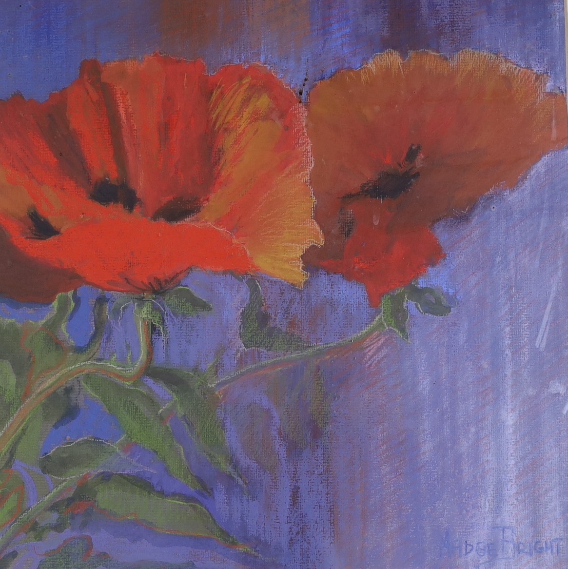 Madge Bright, two pastels, Studies of poppies, signed, 28 x 28cm and 26 x 26cm